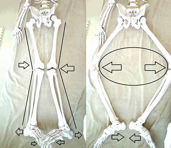 X脚・O脚のイメージ2